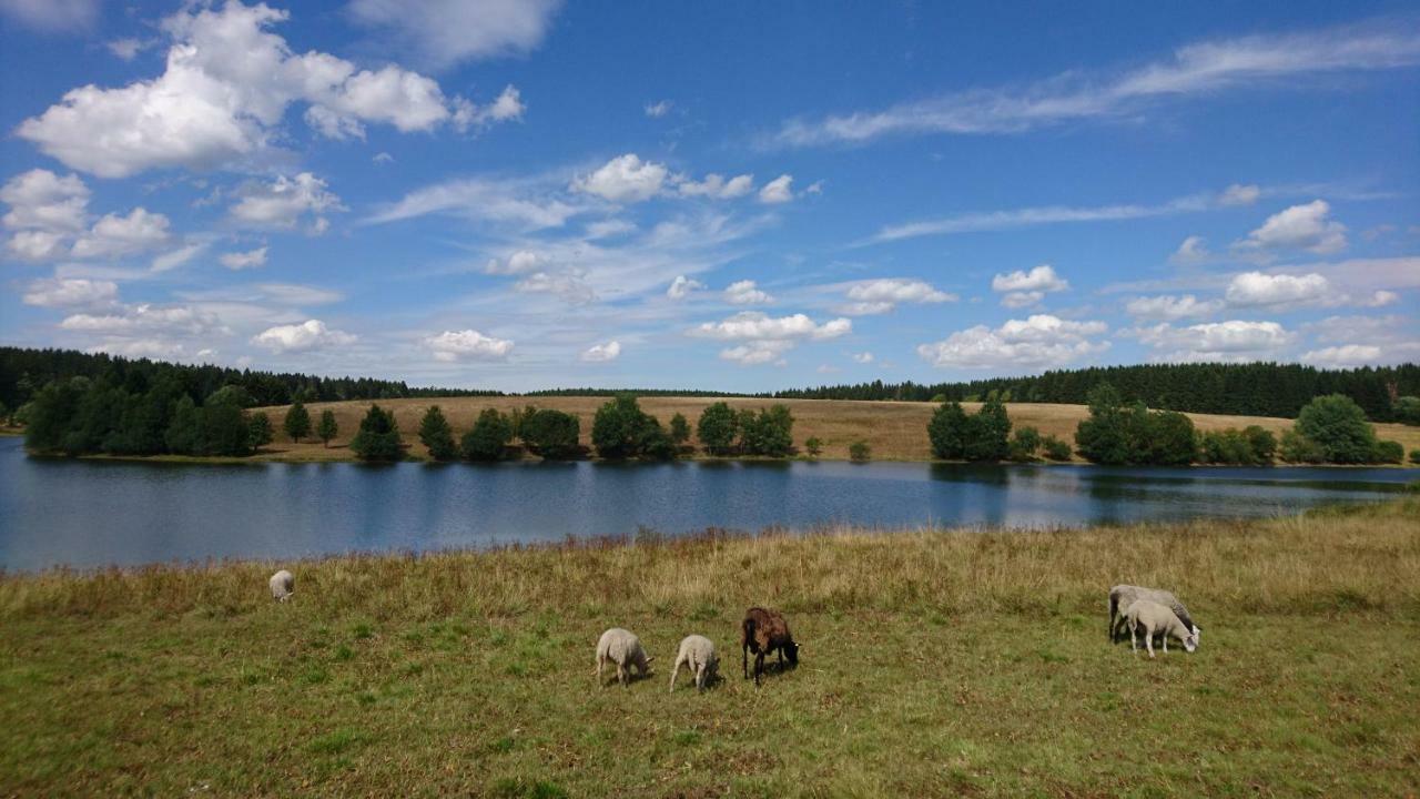 H@Rz4U Apartman Clausthal-Zellerfeld Kültér fotó