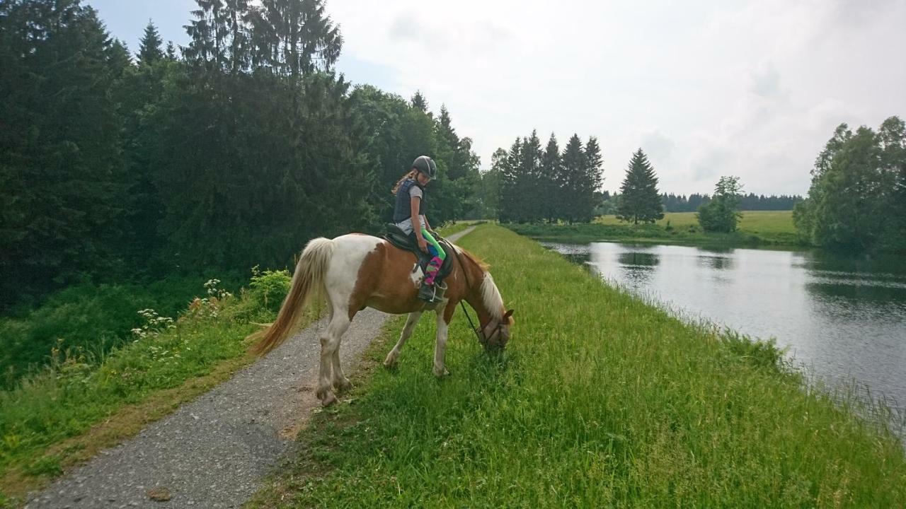H@Rz4U Apartman Clausthal-Zellerfeld Kültér fotó